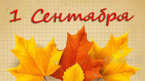 ВСЕХ ДЕТЕЙ И ИХ РОДИТЕЛЕЙ ПОЗДРАВЛЯЕМ ВСЕХ ДЕТЕЙ И ИХ РОДИТЕЛЕЙ ПОЗДРАВЛЯЕМ